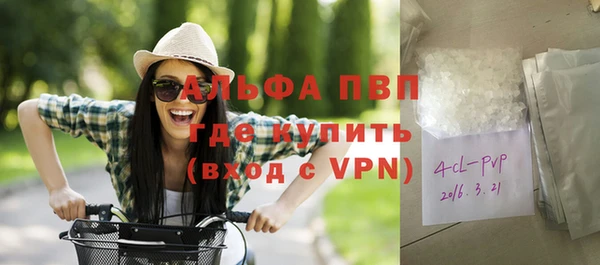 крисы Богородицк