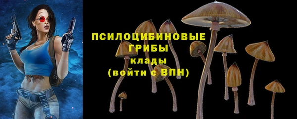 крисы Богородицк