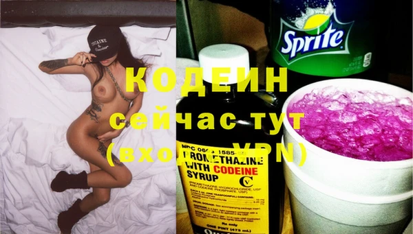 крисы Богородицк