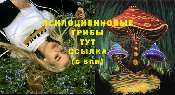наркотики Богданович