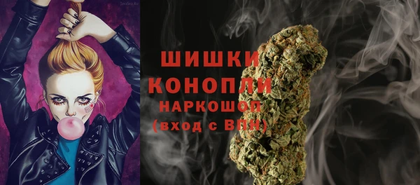 крисы Богородицк