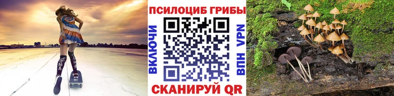 Галлюциногенные грибы Psilocybine cubensis  где найти   Киренск 